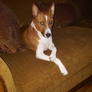 Meet your Posher, Lawrence